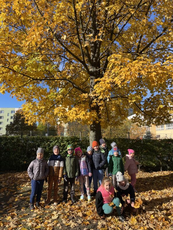 Uśmiechnięta grupa pozuje do zdjęcia na tle złocistego jesiennego drzewa, które znajduje się na terenie przedszkola.