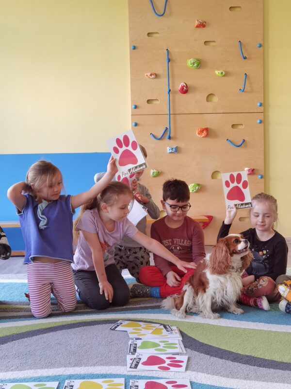 Dzieci podnoszą karty z czerwonymi łapkami psa jako wyrażenie swojego zdania na temat zasad w kontaktacie z psem.